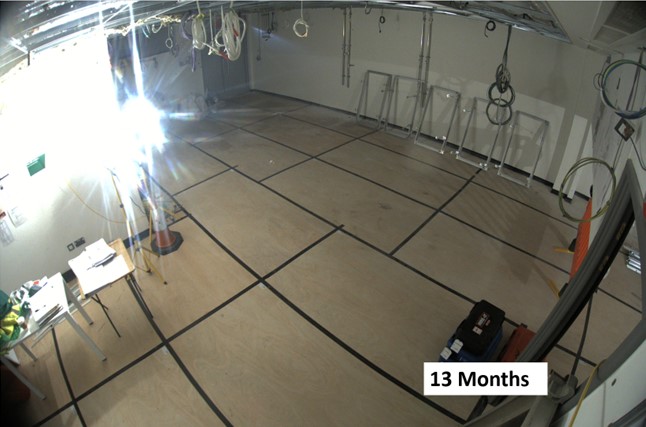 13Months.jpg