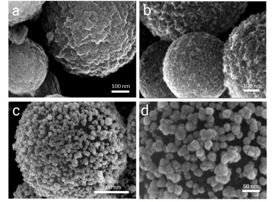 Four different microscopy images of the gold coated surfaced used in the study. Contains spherical shapes with rough surfaces