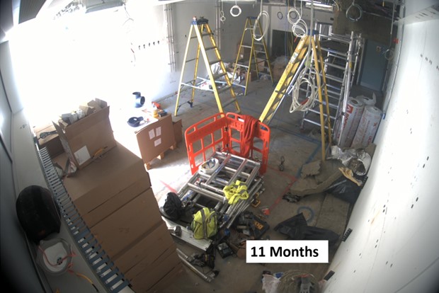 HiLUX11months.jpg