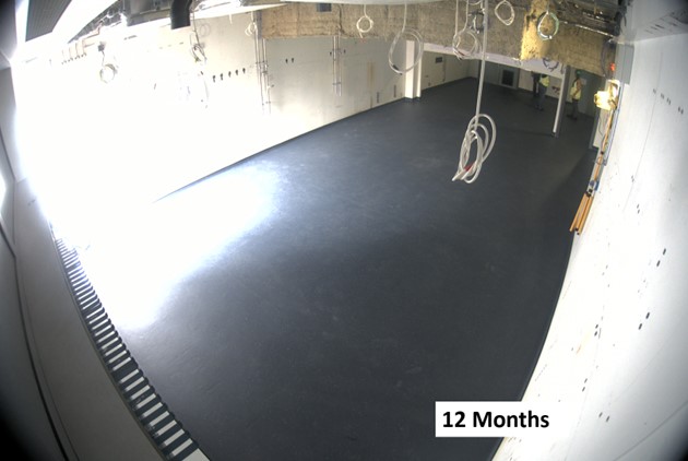 HiLUX12months.jpg
