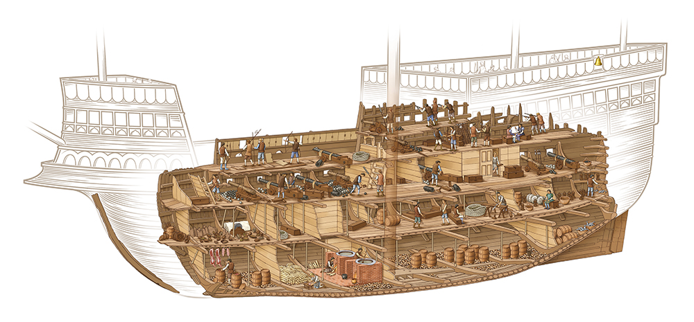 Cutaway illustration of the Mary Rose