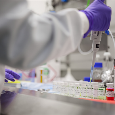 Scientist using a pipette in a fume hood to fill vials with liquid.