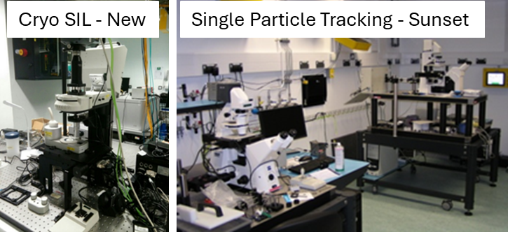 Picture5 Octopus.png