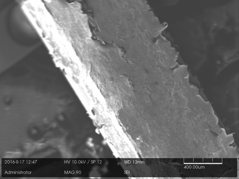 Backscatter electron image