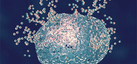 Representation of extracellular vesicles. Credit: Canva