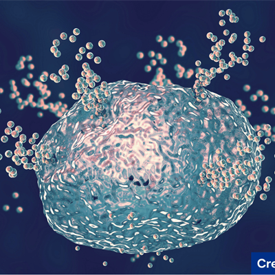 Representation of extracellular vesicles. Credit: Canva