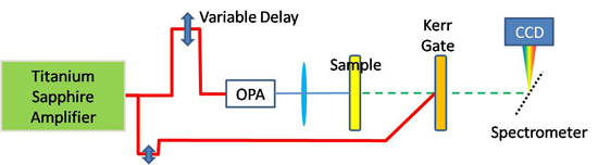 clf_ultra_time_resolved_fluorescence_550px.jpg