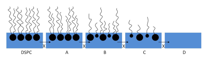 thumbnail_image002 (1).png