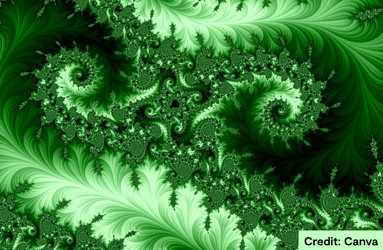 Artistic representation of a fractal pattern. Credit: Canva