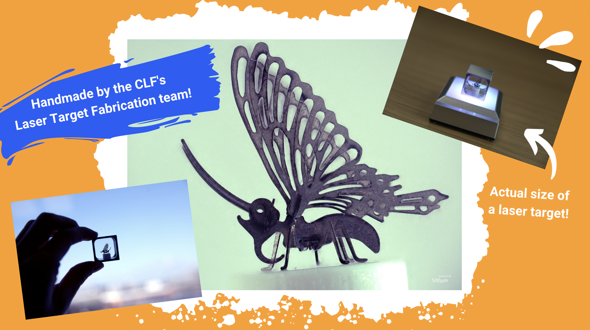 Various pictures of the Societal Impact Award: a milimetre high metal butterfly