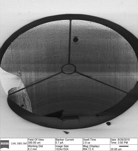 Example of a MEMS produced mass limited target