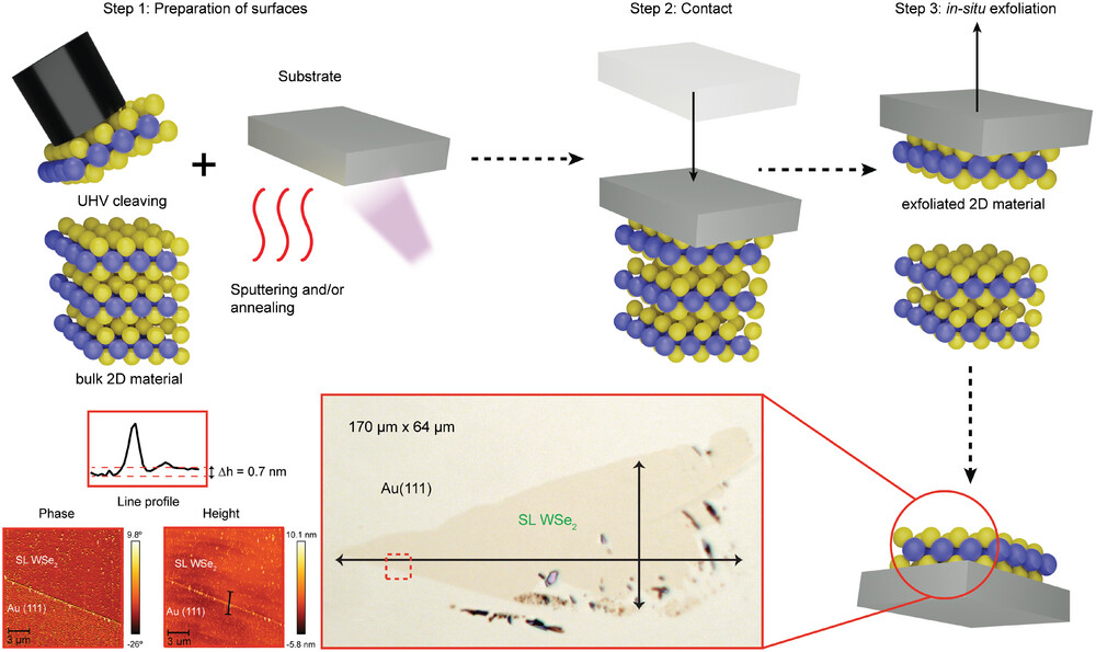 Sketch of the 2D material exfoliation procedure