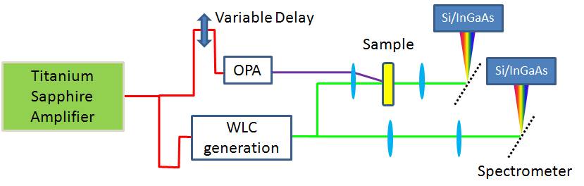 clf_ultra_transient_absorption.jpg