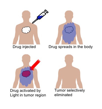 Anti-Cancer drug nicole holzman experimentt.jpg